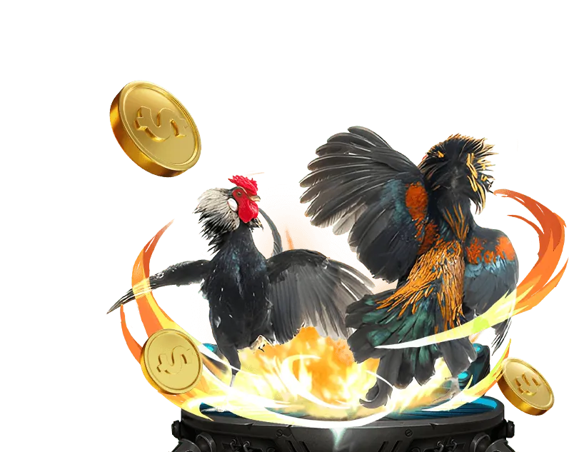 Đội ngũ hỗ trợ khách hàng chuyên nghiệp của bong68